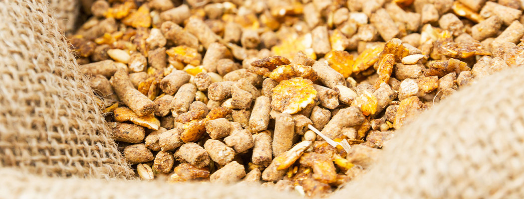 Untuk Aplikasi Pakan